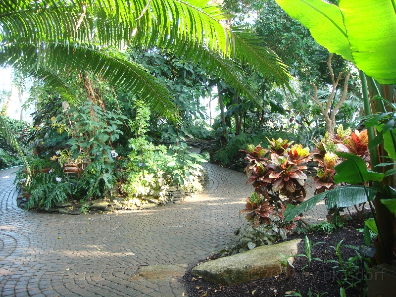 Western Michigan [2009] 168.JPG - Scenes from Frederik Meijer Gardens & Sculpture Park.